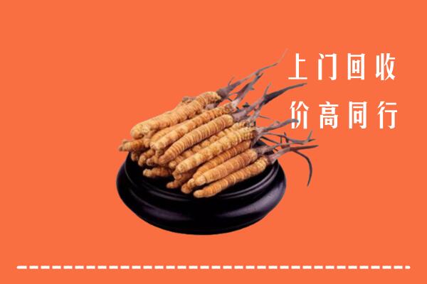 高价求购：肇东市回收散虫草
