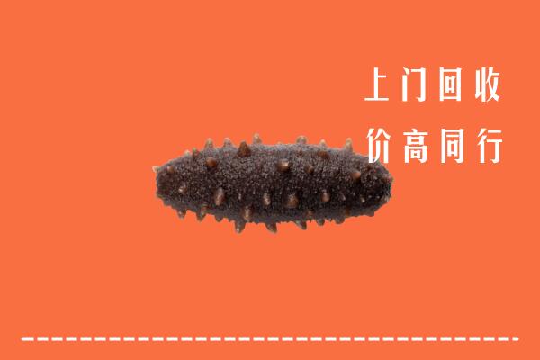 高价求购：肇东市回收海参