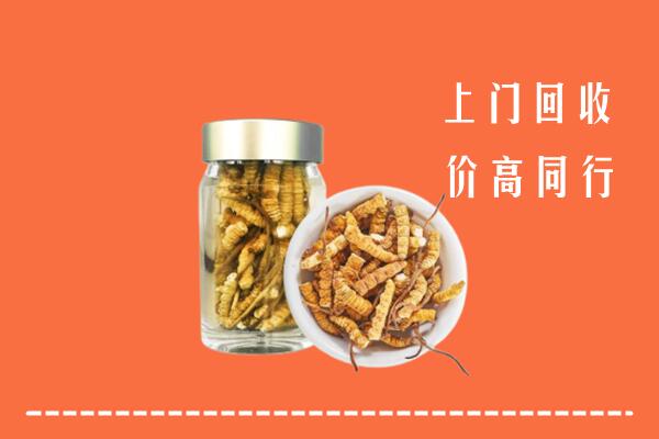 肇东市回收冬虫夏草